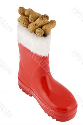 red boot with peanuts red boot with peanuts
