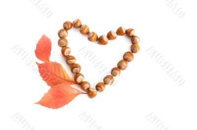 Nuts and leaves. Nuts and leaves.