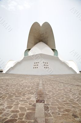 tenerife auditorium face