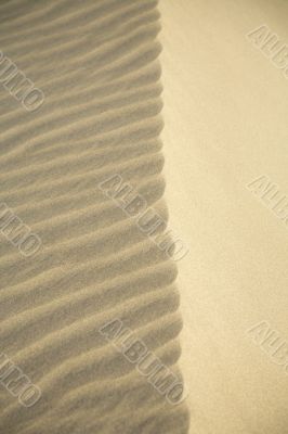 sand texture