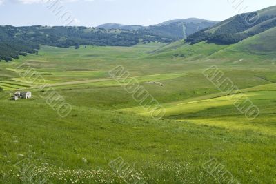 Piana di Castelluccio - Landscape Piana di Castelluccio - Landscape