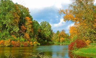 Intensive colors of autumn landscape