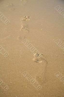 steps on the beach
