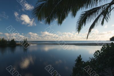 Tropical Sunset with Palm Trees