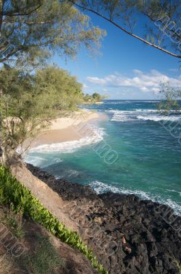 Tropical Shoreline