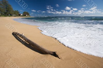 Tropical Shoreline