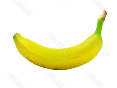 Banana Banana