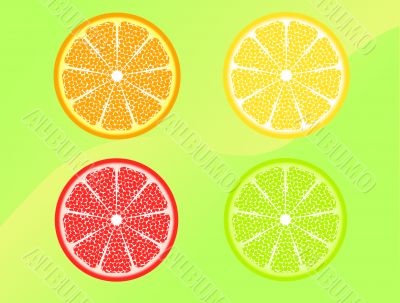 Slices Of Citrus Fruits