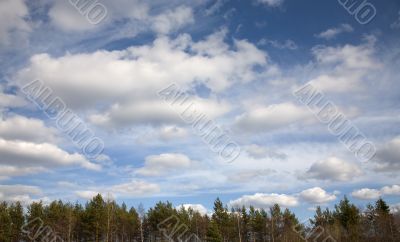 Clouds above a wood