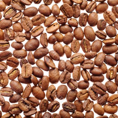 coffee grains