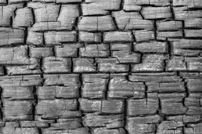 Charred cracked wood