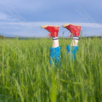 Legs, in a green grass