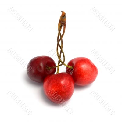 Three berries of a sweet cherry