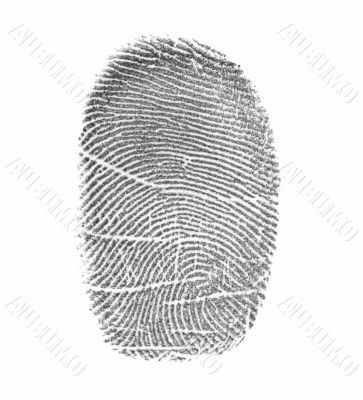 Fingerprint