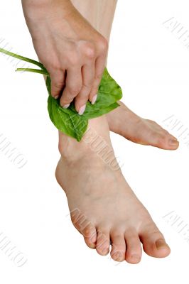 Treatment by a leaf