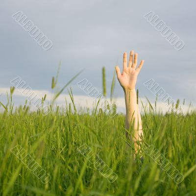 The hand stretched from a grass