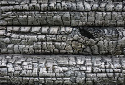 Surface of the charred wood