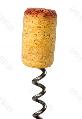 Cork and a corkscrew