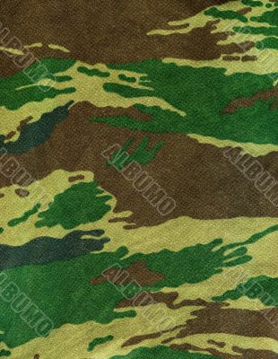 Camouflage texture