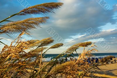 Windy sunset on the beach