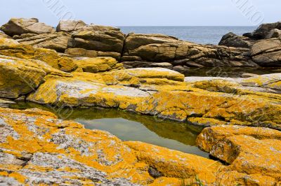 stony coast at the Baltic Sea, Bornholm, Denmark