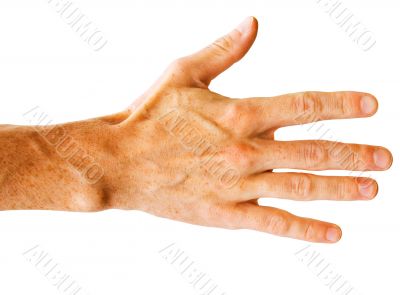 Hand on white