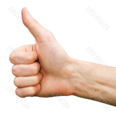 Thumb up