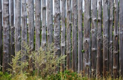 Wooden fence