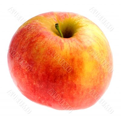 Red apple on white