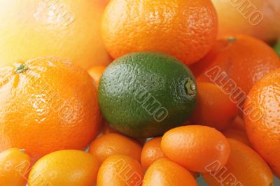 citrus