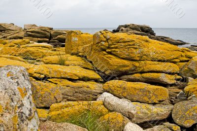 stony coast at the Baltic Sea, Bornholm, Denmark