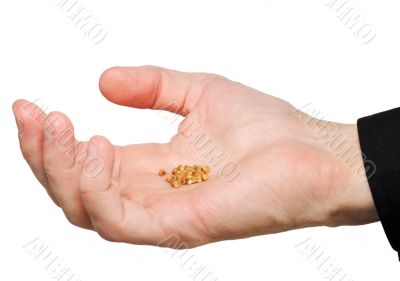 Handful of grains
