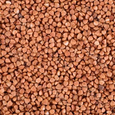 Golden buckwheat