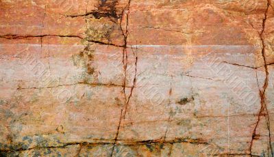 Cracked surface of a rock