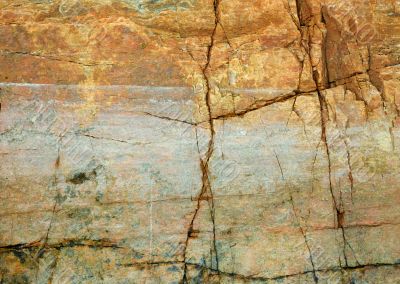 Cracked surface of a rock