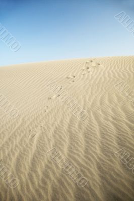 footsteps on the sand