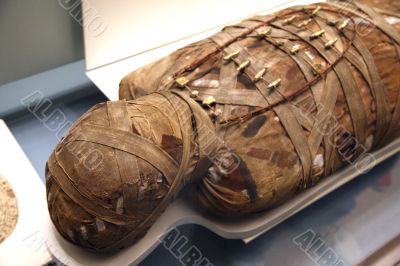 egyptian mummy egyptian mummy