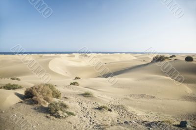 maspalomas natural park