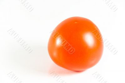 Tomato on white background