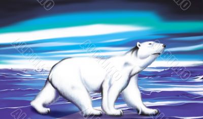 Polar Bear