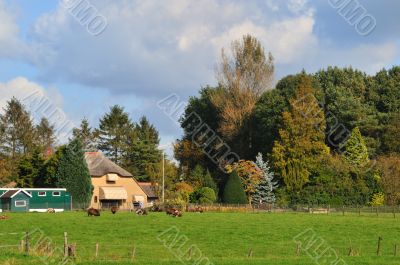 Farmhouse in Holland