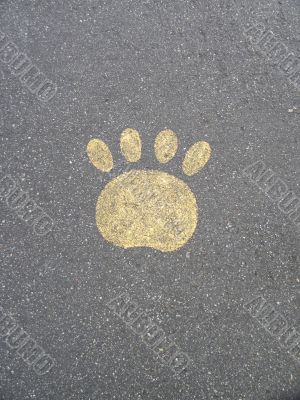 paw print sign