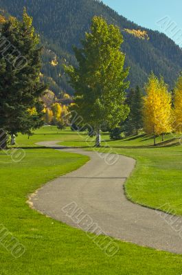 Aspen Golf Course with Pines