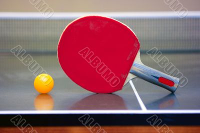Table tennis Table tennis