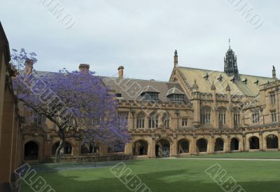 Sydney University Quadrangle Sydney University Quadrangle
