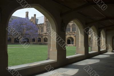 Sydney University Quadrangle