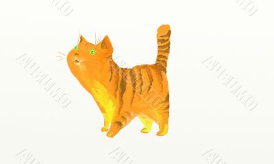 Ginger cat