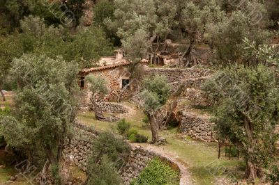 Small Finca near Soller, Majorca