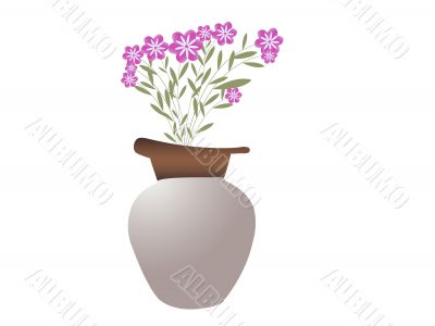 pot with beautiful  flowers