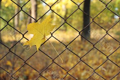 october october